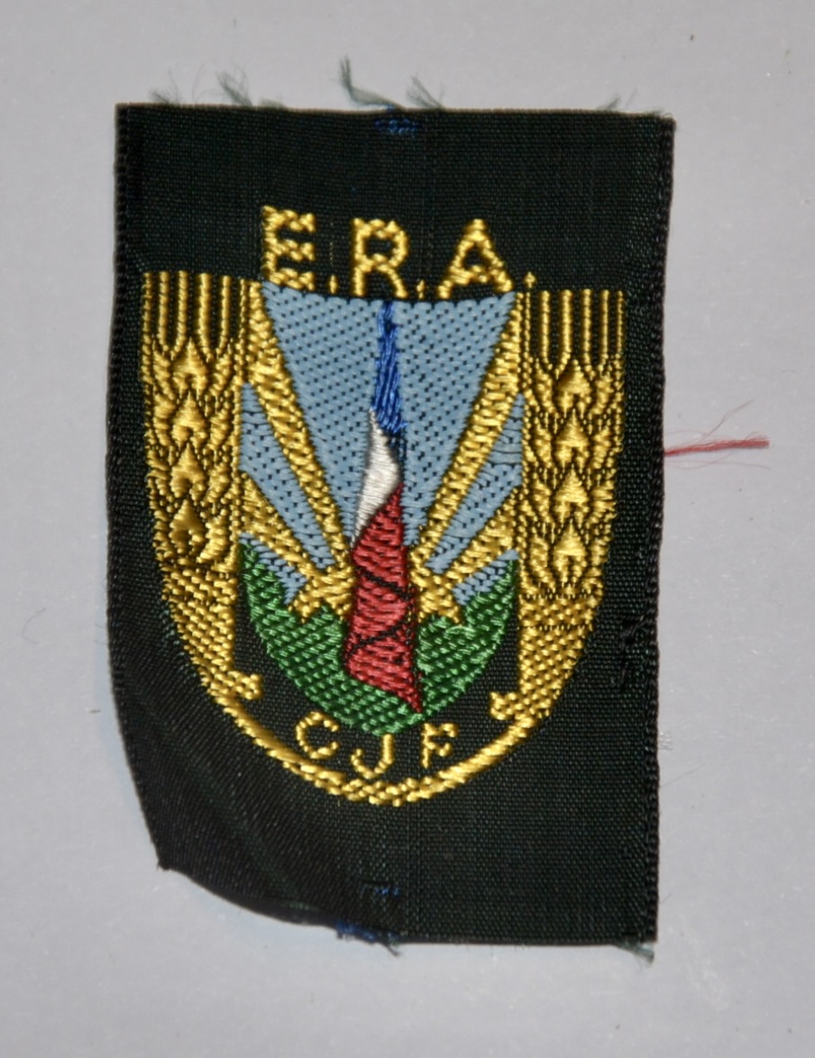 militaria : INSIGNE DE BERET DES CHANTIERS DE LA JEUNESSE FRANÇAISE