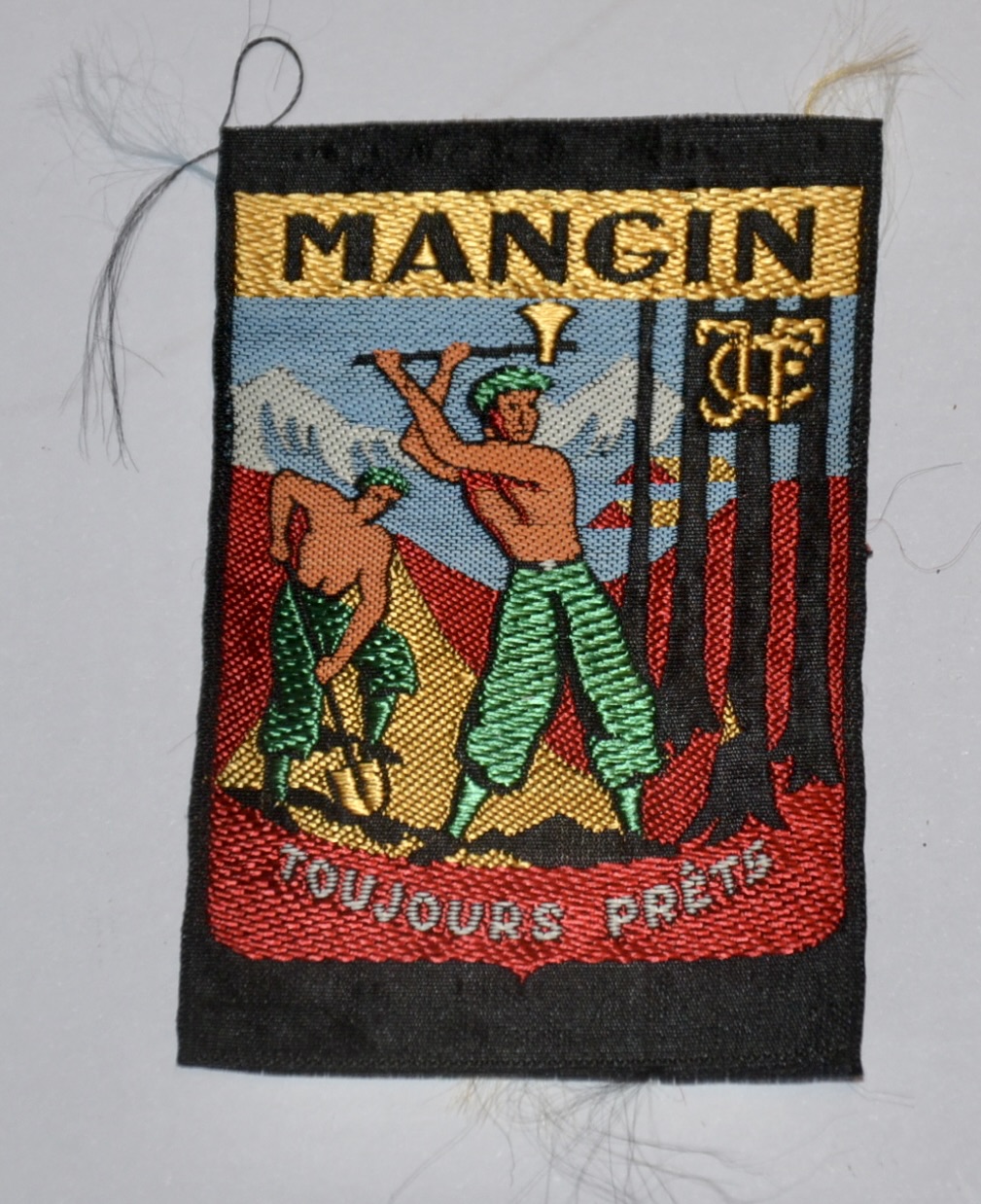 militaria : INSIGNE CHANTIER DE JEUNESSE MANGIN