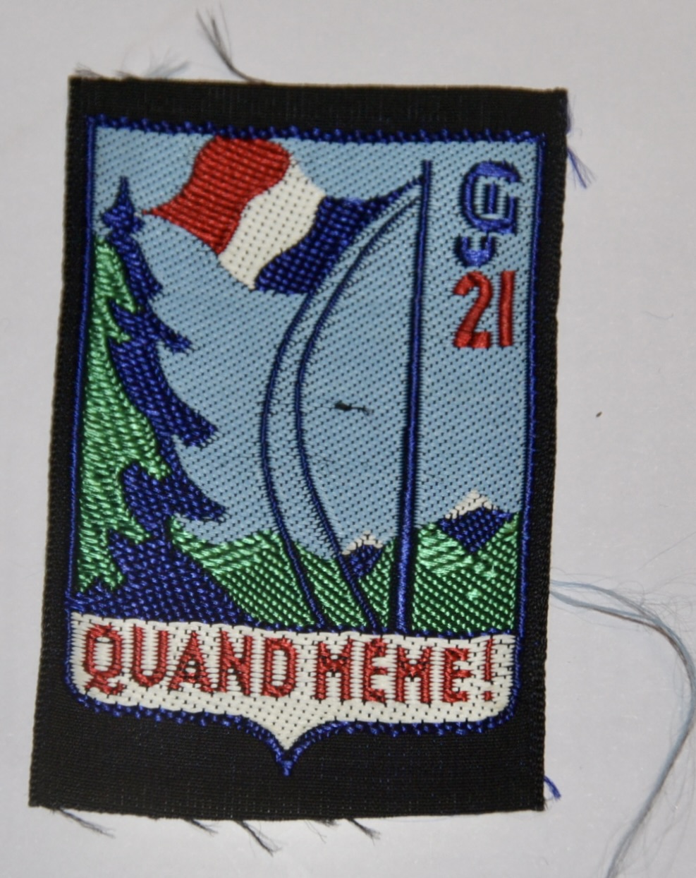 militaria : INSIGNE CHANTIER DE JEUNESSE 21