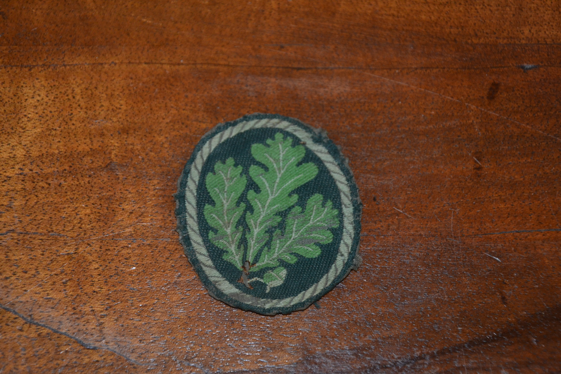 militaria : INSIGNE DE MANCHE DE GEBIRSJAGER BEVO