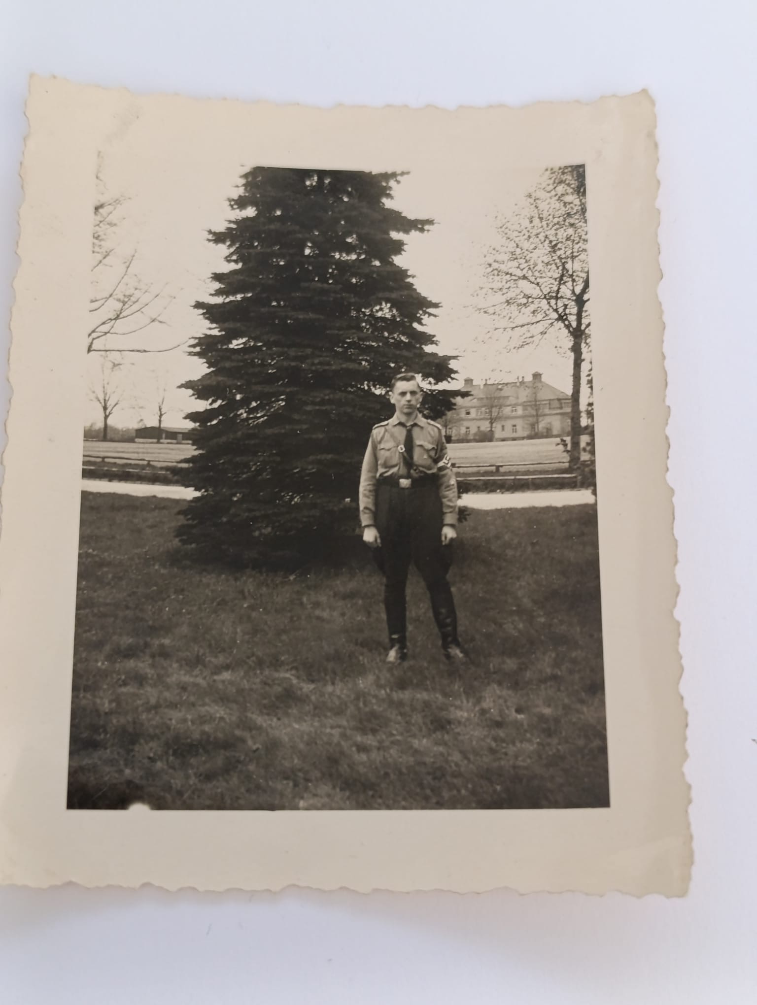 militaria : PHOTO D'UN CADRE DE LA HJ EN TENUE DEVANT UN SAPIN